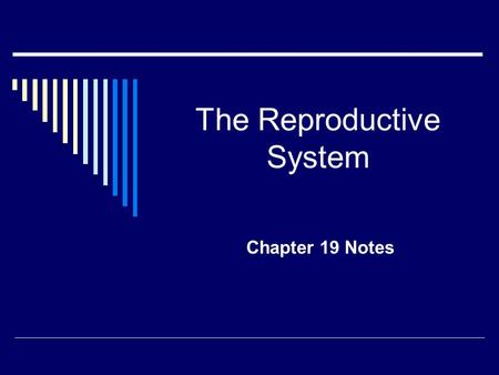 The Reproductive System