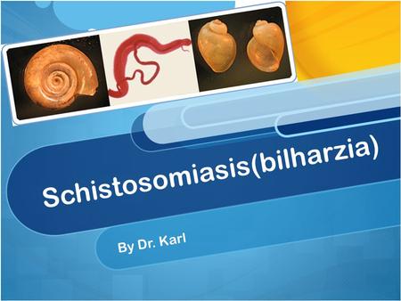 Schistosomiasis(bilharzia)