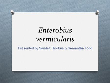 Enterobius vermicularis