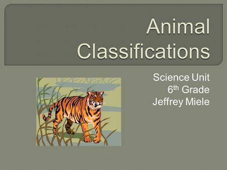 Animal Classifications