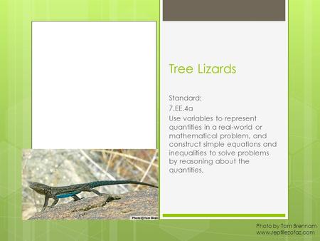 Tree Lizards Standard: 7.EE.4a Use variables to represent quantities in a real-world or mathematical problem, and construct simple equations and inequalities.