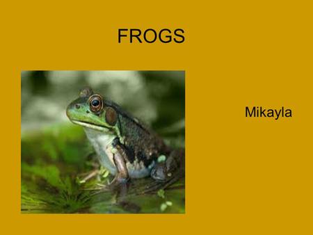 FROGS Mikayla.