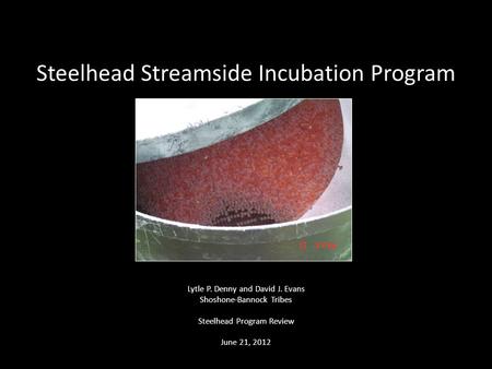 Steelhead Streamside Incubation Program