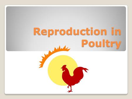 Reproduction in Poultry