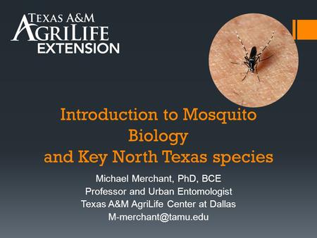 Introduction to Mosquito Biology and Key North Texas species