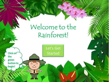 Welcome to the Rainforest! Lets Get Started Lets Get Started.