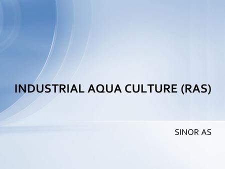 SINOR AS INDUSTRIAL AQUA CULTURE (RAS). CRUNCHY TROUT EGGS – CAVIAR.