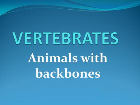 Animals with backbones