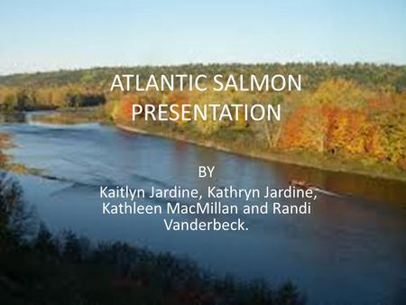 ATLANTIC SALMON PRESENTATION BY Kaitlyn Jardine, Kathryn Jardine, Kathleen MacMillan and Randi Vanderbeck.