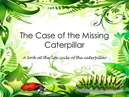 The Case of the Missing Caterpillar