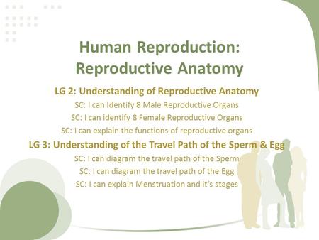 Human Reproduction: Reproductive Anatomy