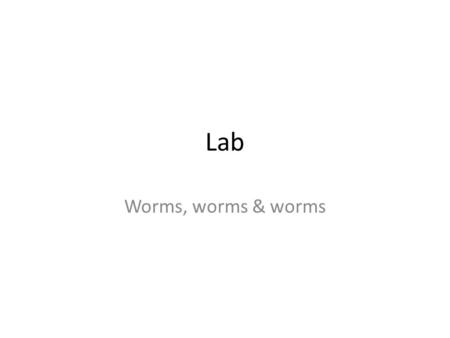 Lab Worms, worms & worms.