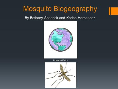 Mosquito Biogeography By Bethany Shedrick and Karina Hernandez Picture by Karina.