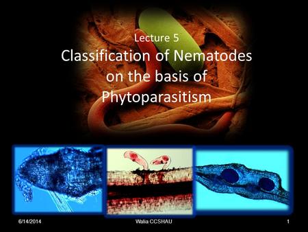 Lecture 5 Classification of Nematodes on the basis of Phytoparasitism