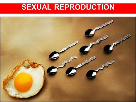 SEXUAL REPRODUCTION AND DEVELOPMENT