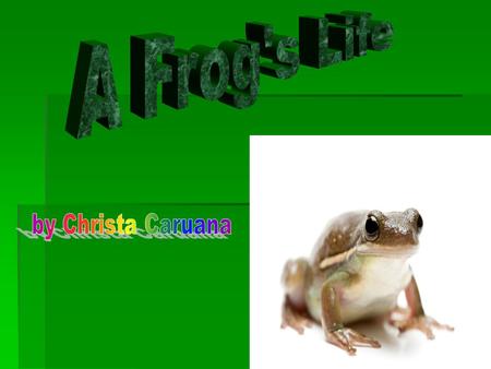 A frog is an amphibian. A frog is an amphibian. It means that it lives on land and water. It means that it lives on land and water. Frogs live on water.