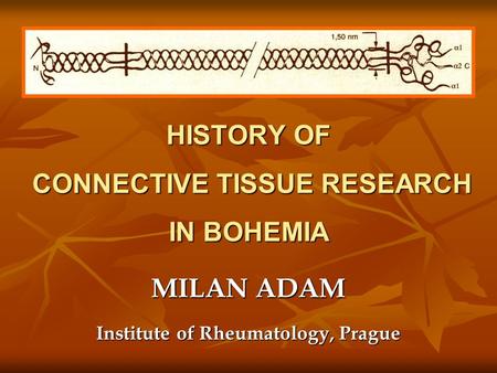 HISTORY OF CONNECTIVE TISSUE RESEARCH IN BOHEMIA