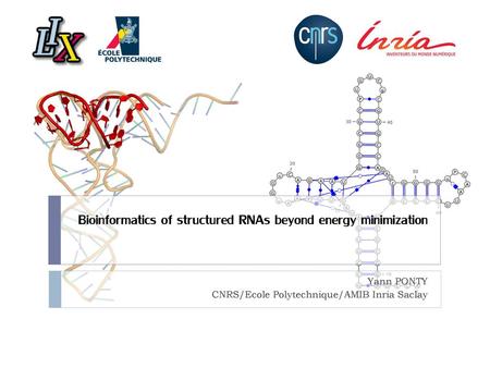 Bioinformatics of structured RNAs beyond energy minimization