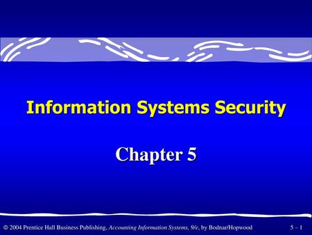 Information Systems Security