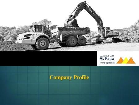 Company Profile.