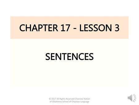 CHAPTER 17 - LESSON 3 SENTENCES