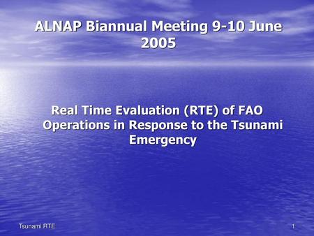 ALNAP Biannual Meeting 9-10 June 2005