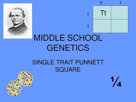 MIDDLE SCHOOL GENETICS