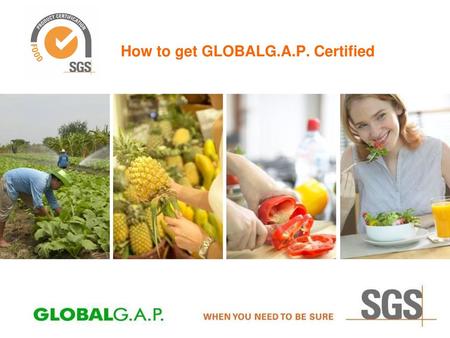 How to get GLOBALG.A.P. Certified