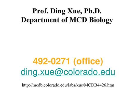 Prof. Ding Xue, Ph.D. Department of MCD Biology