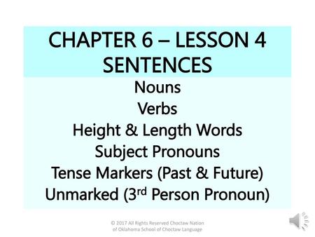 CHAPTER 6 – LESSON 4 SENTENCES