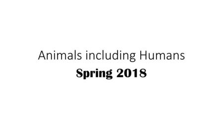 Animals including Humans