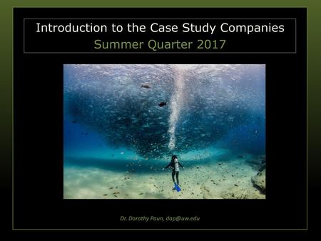 Dr. Dorothy Paun, dap@uw.edu Introduction to the Case Study Companies Summer Quarter 2017.