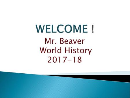 Mr. Beaver World History