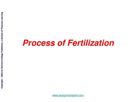 Process of Fertilization