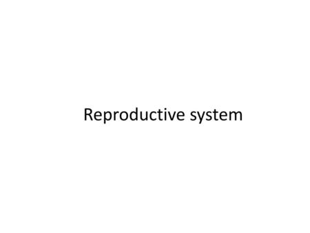 Reproductive system.