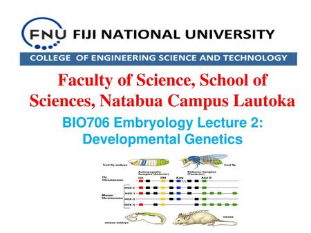 BIO706 Embryology Lecture 2: Developmental Genetics