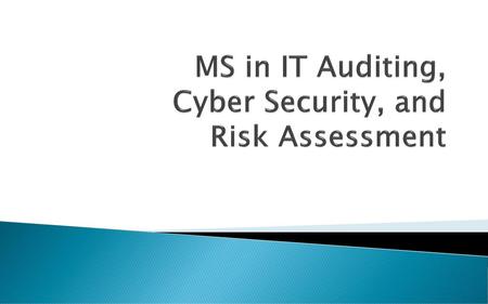 MS in IT Auditing, Cyber Security, and Risk Assessment