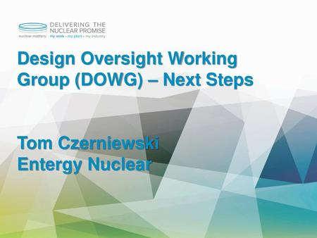 Design Oversight Working Group (DOWG) – Next Steps