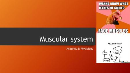 Muscular system Anatomy & Physiology.