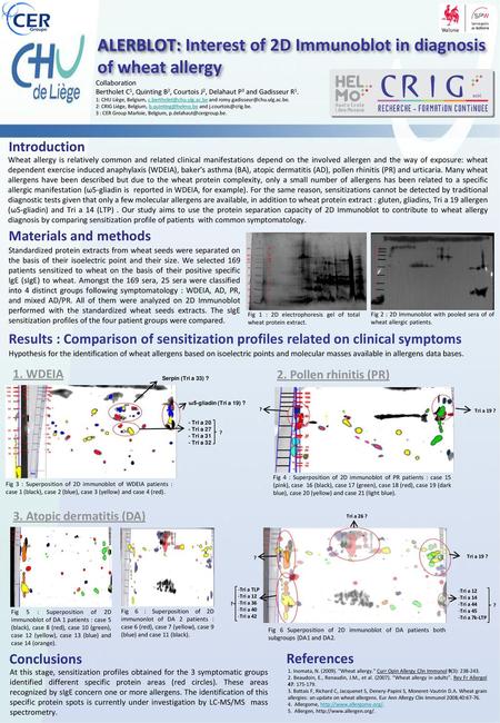 ALERBLOT: Interest of 2D Immunoblot in diagnosis of wheat allergy