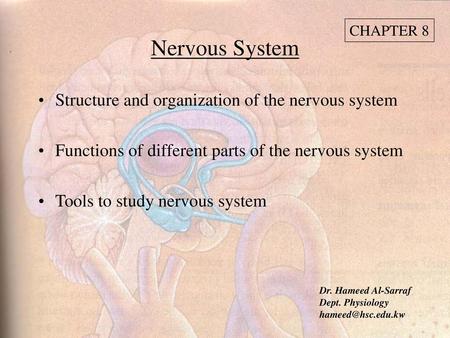 Nervous System Structure and organization of the nervous system