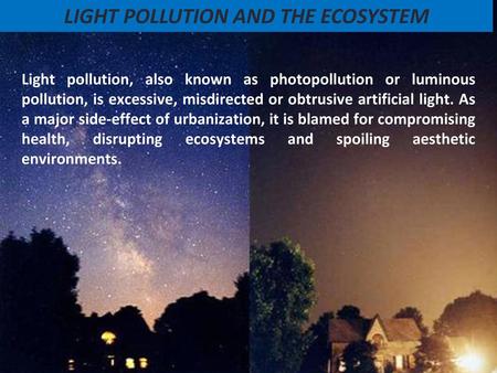 LIGHT POLLUTION AND THE ECOSYSTEM