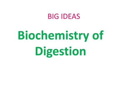 Biochemistry of Digestion