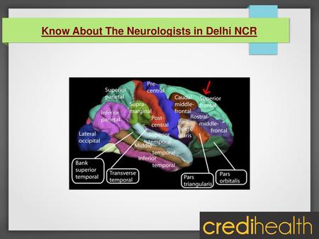 Know About The Neurologists in Delhi NCR