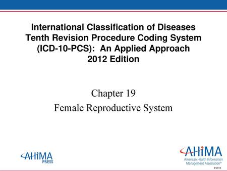 Chapter 19 Female Reproductive System