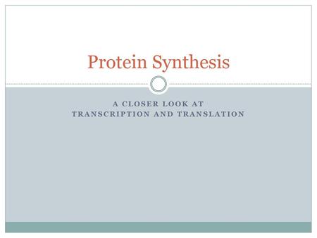 A closer look at transcription and translation