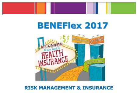 Risk Management & Insurance