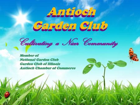 Antioch Antioch Garden Club Garden Club Cultivating a Nicer Community