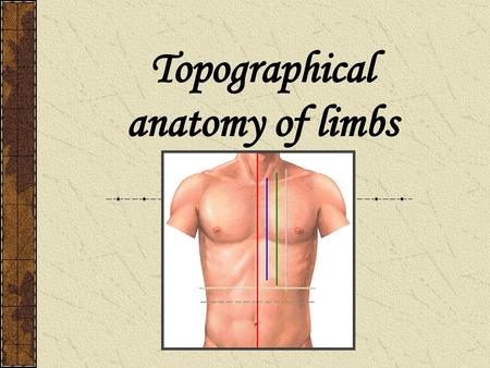 Topographical anatomy of limbs