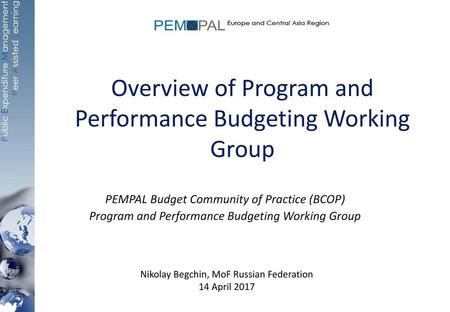 Overview of Program and Performance Budgeting Working Group